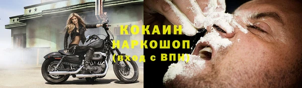 ПСИЛОЦИБИНОВЫЕ ГРИБЫ Верхний Тагил