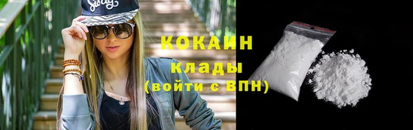 ПСИЛОЦИБИНОВЫЕ ГРИБЫ Верея