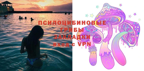 ПСИЛОЦИБИНОВЫЕ ГРИБЫ Верхний Тагил