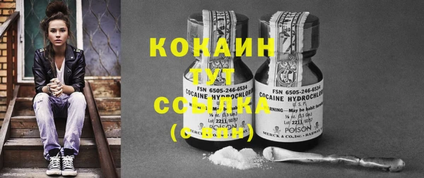 ПСИЛОЦИБИНОВЫЕ ГРИБЫ Верея