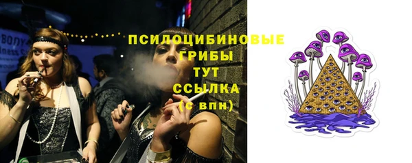 ПСИЛОЦИБИНОВЫЕ ГРИБЫ Верея