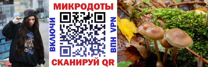 купить наркоту  Лянтор  Псилоцибиновые грибы мухоморы 